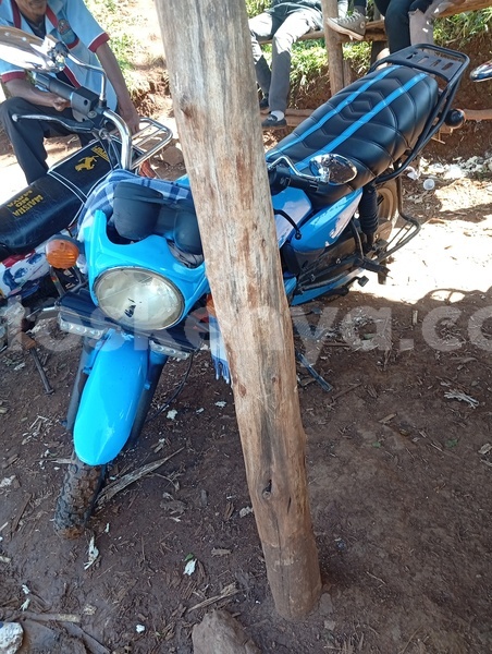 Big with watermark boxer bm100 nairobi nairobi 28367