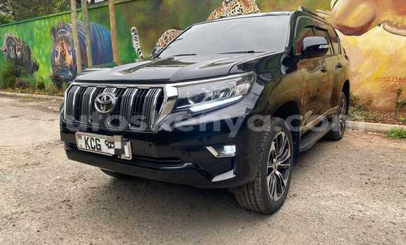 Buy Used Toyota Prado Black Car in Nairobi in Nairobi Buy Used Toyota Prado Black Car in Nairobi in Nairobi
