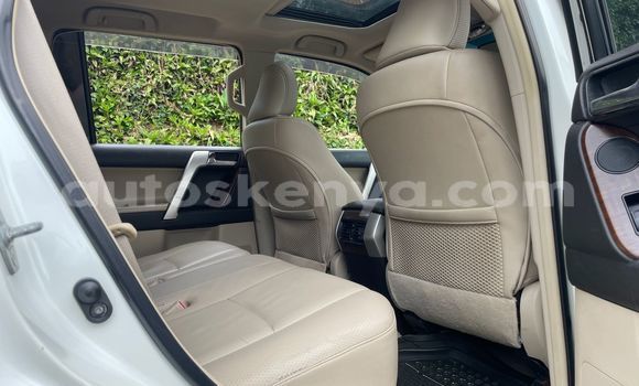 Nunua Ilio tumika Toyota Land Cruiser Prado Nyeupe Gari ndani ya Nairobi nchini Nairobi Nunua Ilio tumika Toyota Land Cruiser Prado Nyeupe Gari ndani ya Nairobi nchini Nairobi