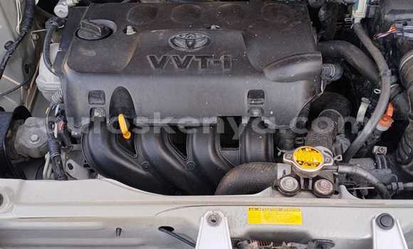 Buy Used Toyota Probox Silver Car in Nairobi in Nairobi Buy Used Toyota Probox Silver Car in Nairobi in Nairobi