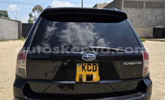 Buy Used Subaru Forester Black Car in Nairobi in Nairobi Buy Used Subaru Forester Black Car in Nairobi in Nairobi