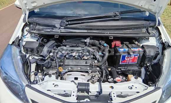 Oofamaa Toyota Vitz White Makiinaa iti Nairobi keessatti Nairobi keessatti Oofamaa Toyota Vitz White Makiinaa iti Nairobi keessatti Nairobi keessatti