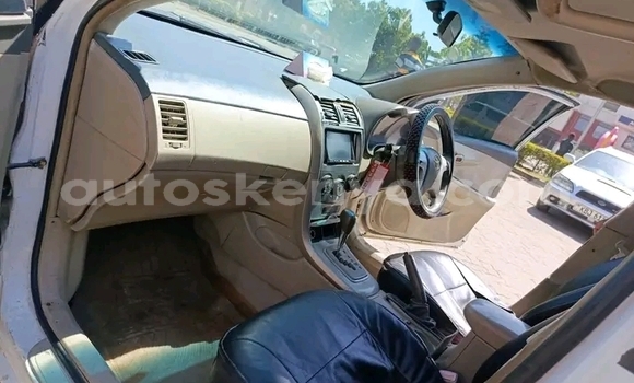 Nunua Ilio tumika Toyota Axio Nyeupe Gari ndani ya Bute nchini Kaskazini Mashariki mwa Kenya Nunua Ilio tumika Toyota Axio Nyeupe Gari ndani ya Bute nchini Kaskazini Mashariki mwa Kenya