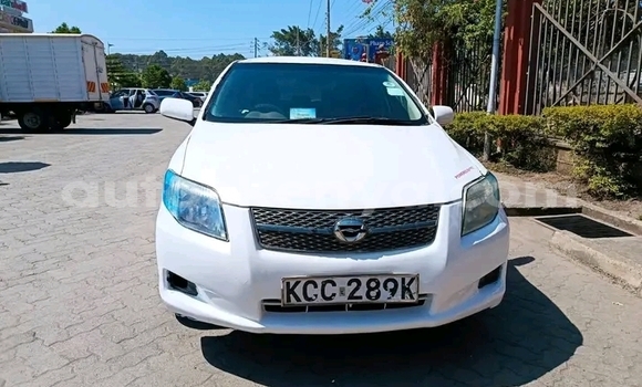 Nunua Ilio tumika Toyota Axio Nyeupe Gari ndani ya Bute nchini Kaskazini Mashariki mwa Kenya Nunua Ilio tumika Toyota Axio Nyeupe Gari ndani ya Bute nchini Kaskazini Mashariki mwa Kenya