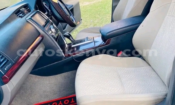 Nunua Ilio tumika Toyota Mark X Nyingine Gari ndani ya Bute nchini Kaskazini Mashariki mwa Kenya Nunua Ilio tumika Toyota Mark X Nyingine Gari ndani ya Bute nchini Kaskazini Mashariki mwa Kenya