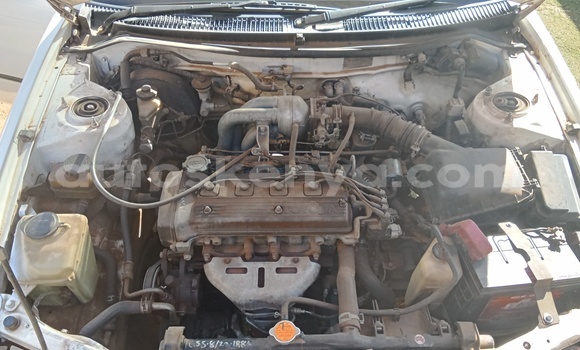 Oofamaa Toyota Corolla White Makiinaa iti Eldoret keessatti Rift Valley keessatti Oofamaa Toyota Corolla White Makiinaa iti Eldoret keessatti Rift Valley keessatti