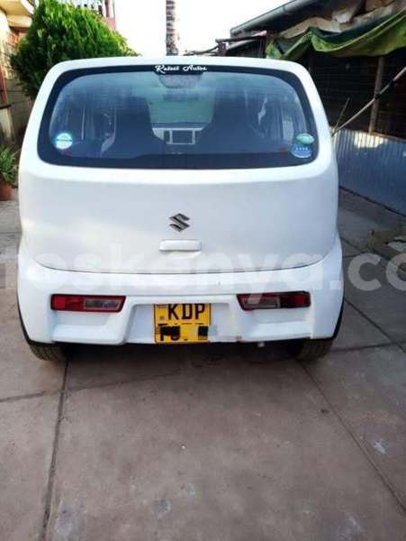 Big with watermark coggiola t rex northeast kenya bute 28527