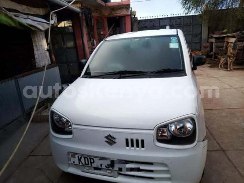 Big with watermark coggiola t rex northeast kenya bute 28527