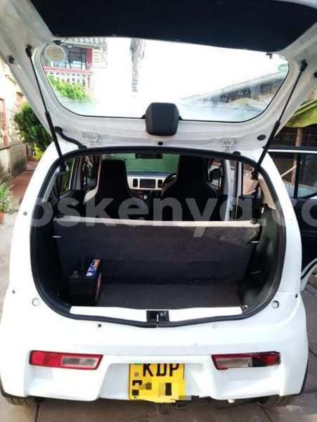 Big with watermark coggiola t rex northeast kenya bute 28527