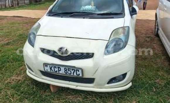 Oofamaa Toyota Vitz Other Makiinaa iti Bute keessatti Northeast Kenya keessatti Oofamaa Toyota Vitz Other Makiinaa iti Bute keessatti Northeast Kenya keessatti