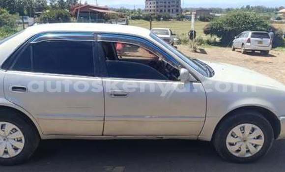 Oofamaa Acura CSX Other Makiinaa iti Bute keessatti Northeast Kenya keessatti Oofamaa Acura CSX Other Makiinaa iti Bute keessatti Northeast Kenya keessatti