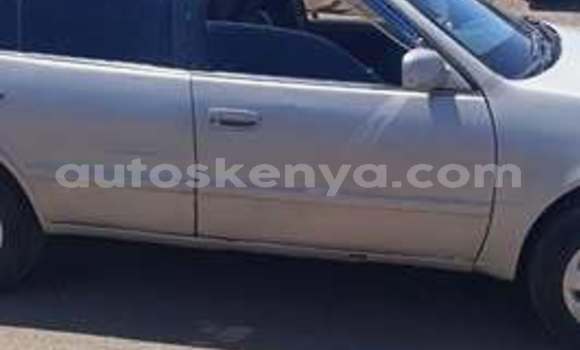 Oofamaa Acura CSX Other Makiinaa iti Bute keessatti Northeast Kenya keessatti Oofamaa Acura CSX Other Makiinaa iti Bute keessatti Northeast Kenya keessatti