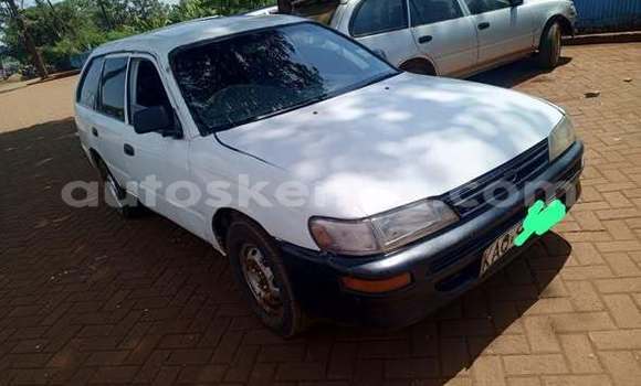 Buy Used Toyota 2000GT Other Car in Bute in Northeast Kenya Buy Used Toyota 2000GT Other Car in Bute in Northeast Kenya