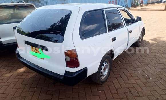 Buy Used Toyota 2000GT Other Car in Bute in Northeast Kenya Buy Used Toyota 2000GT Other Car in Bute in Northeast Kenya