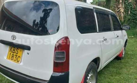 Oofamaa Toyota Prado Other Makiinaa iti Bute keessatti Northeast Kenya keessatti Oofamaa Toyota Prado Other Makiinaa iti Bute keessatti Northeast Kenya keessatti