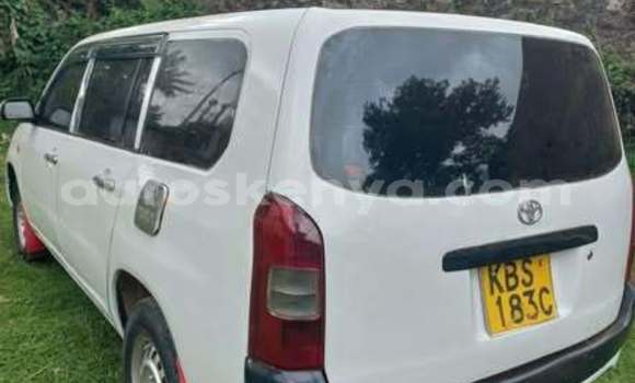 Oofamaa Toyota Prado Other Makiinaa iti Bute keessatti Northeast Kenya keessatti Oofamaa Toyota Prado Other Makiinaa iti Bute keessatti Northeast Kenya keessatti