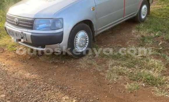 Oofamaa Toyota Probox Other Makiinaa iti Bute keessatti Northeast Kenya keessatti Oofamaa Toyota Probox Other Makiinaa iti Bute keessatti Northeast Kenya keessatti