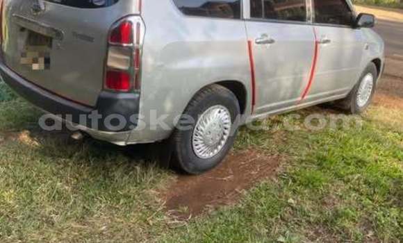 Oofamaa Toyota Probox Other Makiinaa iti Bute keessatti Northeast Kenya keessatti Oofamaa Toyota Probox Other Makiinaa iti Bute keessatti Northeast Kenya keessatti