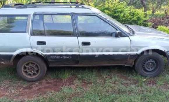 Oofamaa Toyota 4Runner Other Makiinaa iti Bute keessatti Northeast Kenya keessatti Oofamaa Toyota 4Runner Other Makiinaa iti Bute keessatti Northeast Kenya keessatti
