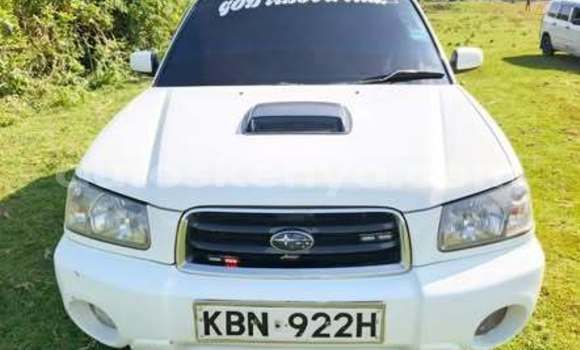 Oofamaa Subaru Forester Other Makiinaa iti Bute keessatti Northeast Kenya keessatti Oofamaa Subaru Forester Other Makiinaa iti Bute keessatti Northeast Kenya keessatti