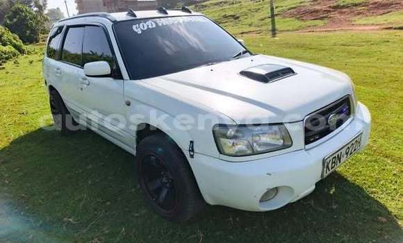 Oofamaa Subaru Forester Other Makiinaa iti Bute keessatti Northeast Kenya keessatti Oofamaa Subaru Forester Other Makiinaa iti Bute keessatti Northeast Kenya keessatti