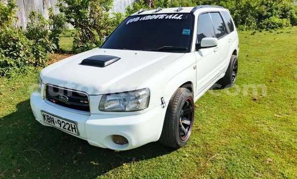 Oofamaa Subaru Forester Other Makiinaa iti Bute keessatti Northeast Kenya keessatti Oofamaa Subaru Forester Other Makiinaa iti Bute keessatti Northeast Kenya keessatti