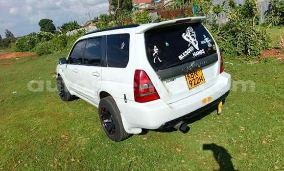 Oofamaa Subaru Forester Other Makiinaa iti Bute keessatti Northeast Kenya keessatti Oofamaa Subaru Forester Other Makiinaa iti Bute keessatti Northeast Kenya keessatti