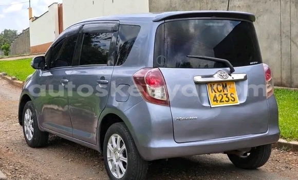 Buy Used Toyota Ractis Other Car in Bute in Northeast Kenya Buy Used Toyota Ractis Other Car in Bute in Northeast Kenya