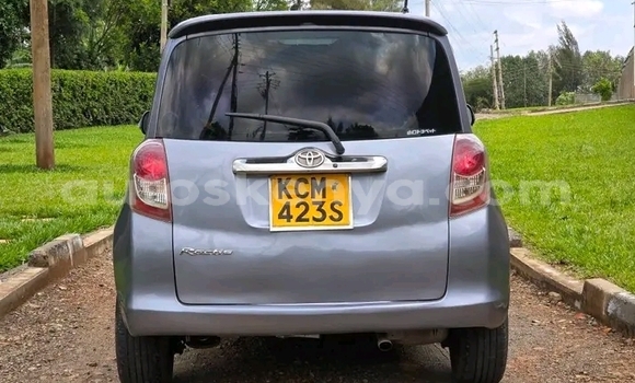 Buy Used Toyota Ractis Other Car in Bute in Northeast Kenya Buy Used Toyota Ractis Other Car in Bute in Northeast Kenya