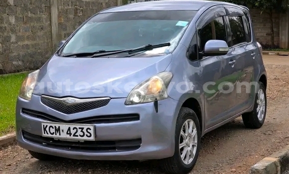Buy Used Toyota Ractis Other Car in Bute in Northeast Kenya Buy Used Toyota Ractis Other Car in Bute in Northeast Kenya