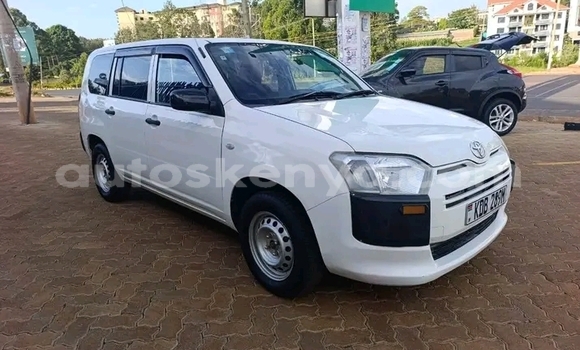 Buy Used Toyota Probox White Car in Bute in Northeast Kenya Buy Used Toyota Probox White Car in Bute in Northeast Kenya