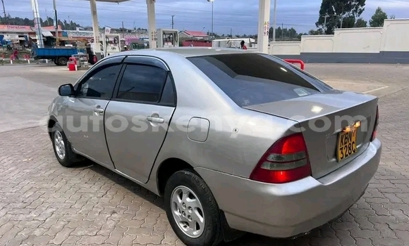 Buy Used Toyota Nadia Other Car in Busia in West Kenya Buy Used Toyota Nadia Other Car in Busia in West Kenya