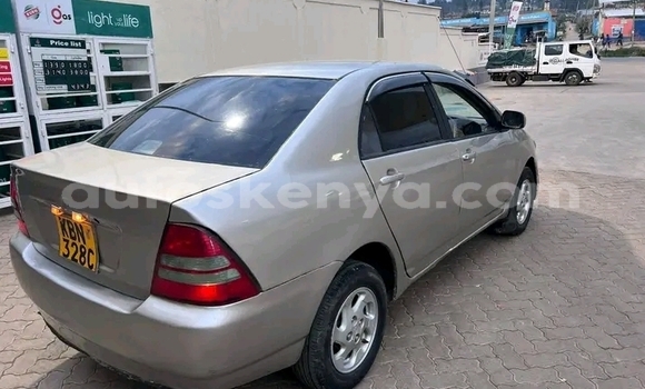 Buy Used Toyota Nadia Other Car in Busia in West Kenya Buy Used Toyota Nadia Other Car in Busia in West Kenya