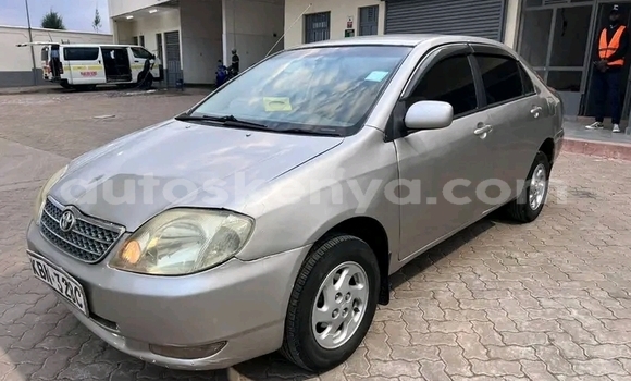 Buy Used Toyota Nadia Other Car in Busia in West Kenya Buy Used Toyota Nadia Other Car in Busia in West Kenya