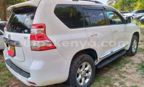 Buy Used Toyota Land Cruiser Prado White Car in Bute in Northeast Kenya Buy Used Toyota Land Cruiser Prado White Car in Bute in Northeast Kenya