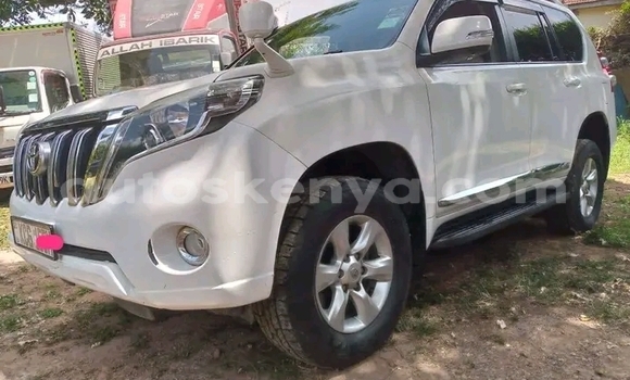 Buy Used Toyota Land Cruiser Prado White Car in Bute in Northeast Kenya Buy Used Toyota Land Cruiser Prado White Car in Bute in Northeast Kenya