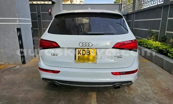 Oofamaa Audi Q5 White Makiinaa iti Changamwe keessatti Coast keessatti