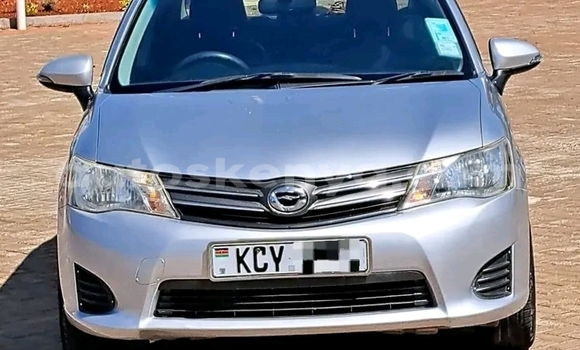 Buy Used Toyota Axio Other Car in Bute in Northeast Kenya Buy Used Toyota Axio Other Car in Bute in Northeast Kenya
