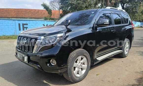 Buy Used Toyota Land Cruiser Prado Black Car in Nairobi in Nairobi Buy Used Toyota Land Cruiser Prado Black Car in Nairobi in Nairobi