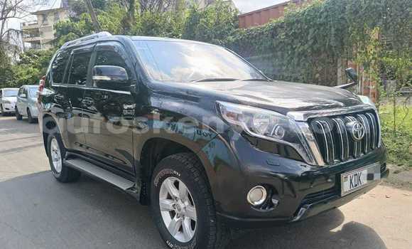 Buy Used Toyota Land Cruiser Prado Black Car in Nairobi in Nairobi Buy Used Toyota Land Cruiser Prado Black Car in Nairobi in Nairobi