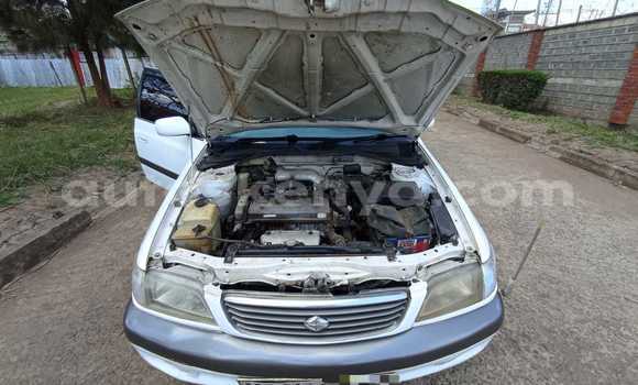 Buy Used Toyota Premio White Car in Nairobi in Nairobi Buy Used Toyota Premio White Car in Nairobi in Nairobi