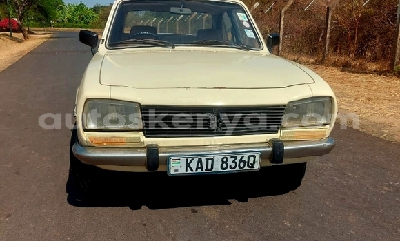 Oofamaa Peugeot 504 White Makiinaa iti Embu keessatti East Kenya keessatti Oofamaa Peugeot 504 White Makiinaa iti Embu keessatti East Kenya keessatti