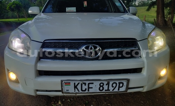 Buy Used Toyota RAV4 White Car in Nairobi in Nairobi
