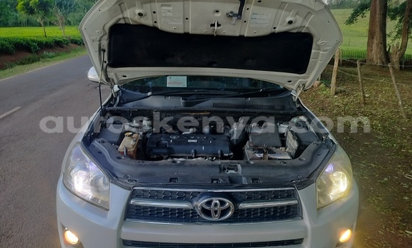 Buy Used Toyota RAV4 White Car in Nairobi in Nairobi Buy Used Toyota RAV4 White Car in Nairobi in Nairobi