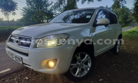 Buy Used Toyota RAV4 White Car in Nairobi in Nairobi Buy Used Toyota RAV4 White Car in Nairobi in Nairobi