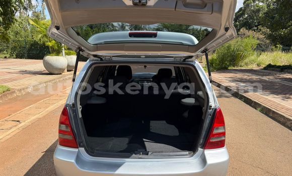 Oofamaa Subaru Forester Silver Makiinaa iti Nairobi keessatti Nairobi keessatti Oofamaa Subaru Forester Silver Makiinaa iti Nairobi keessatti Nairobi keessatti