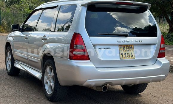 Oofamaa Subaru Forester Silver Makiinaa iti Nairobi keessatti Nairobi keessatti Oofamaa Subaru Forester Silver Makiinaa iti Nairobi keessatti Nairobi keessatti