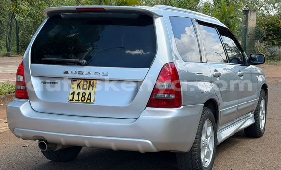 Oofamaa Subaru Forester Silver Makiinaa iti Nairobi keessatti Nairobi keessatti Oofamaa Subaru Forester Silver Makiinaa iti Nairobi keessatti Nairobi keessatti