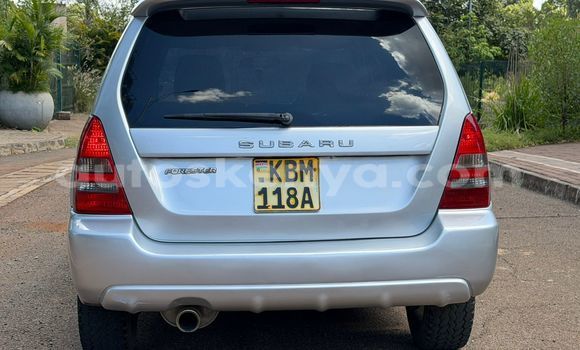 Oofamaa Subaru Forester Silver Makiinaa iti Nairobi keessatti Nairobi keessatti Oofamaa Subaru Forester Silver Makiinaa iti Nairobi keessatti Nairobi keessatti