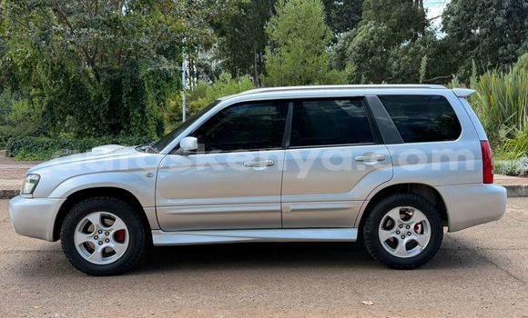 Oofamaa Subaru Forester Silver Makiinaa iti Nairobi keessatti Nairobi keessatti Oofamaa Subaru Forester Silver Makiinaa iti Nairobi keessatti Nairobi keessatti